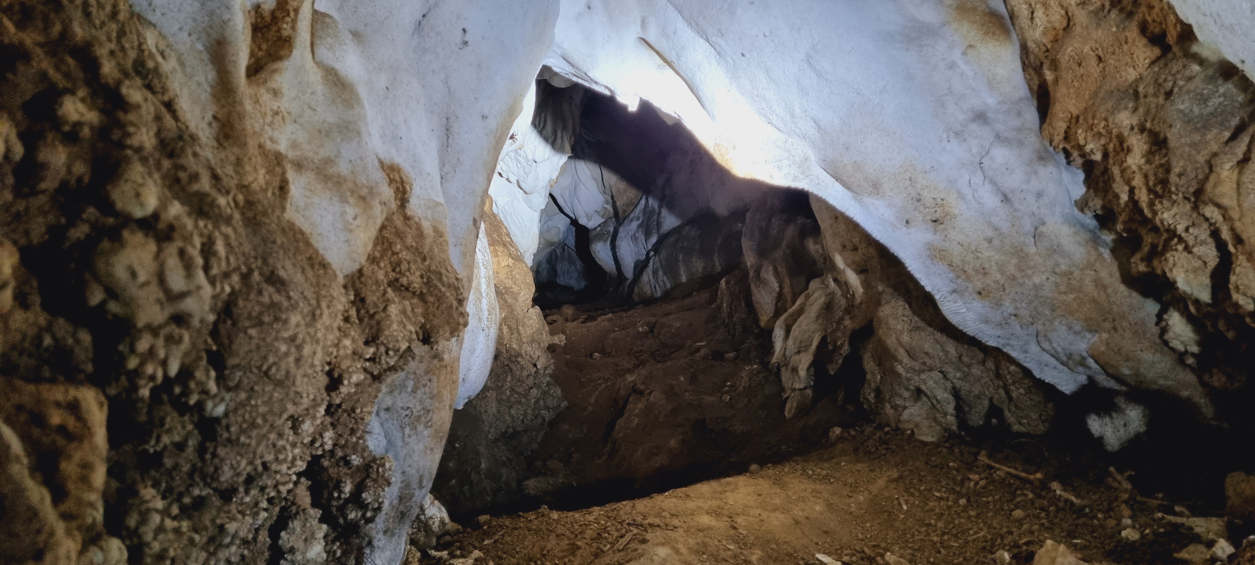 Pestera cu Oase din Valea Starnic - Image 2